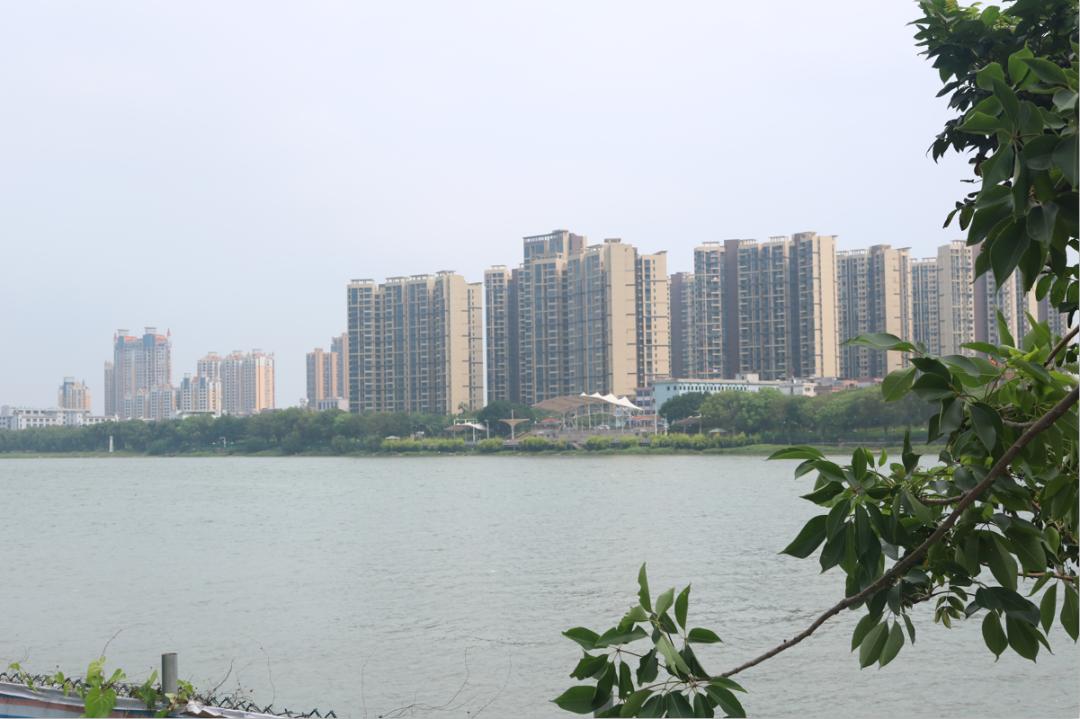 东莞石龙新体育馆,2022年石龙体育馆