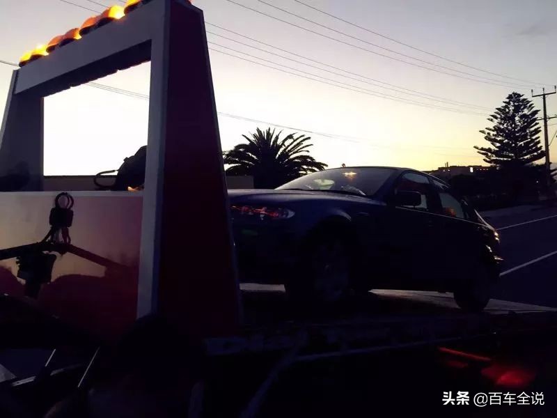 「澳洲系列」你吃过袋鼠吗？我撞过