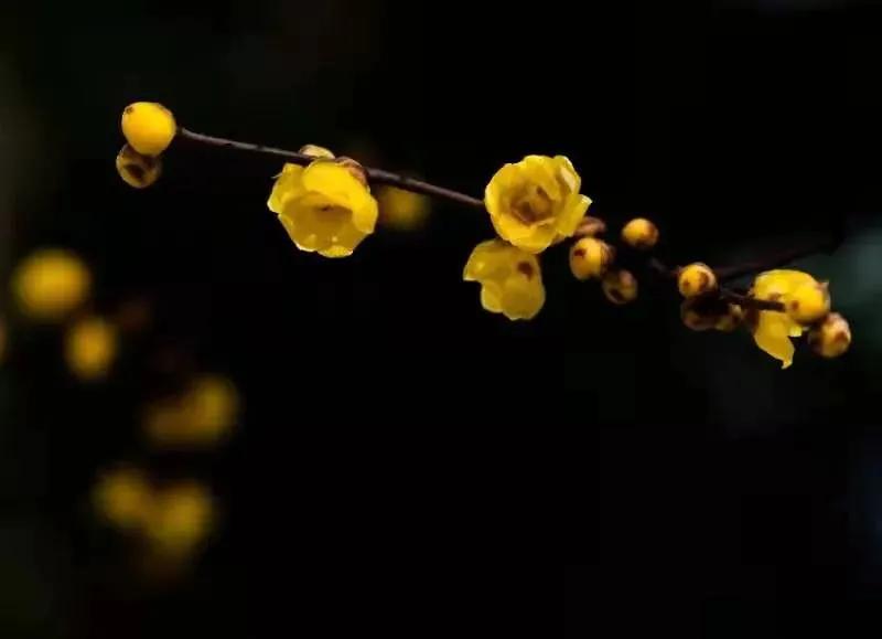 每周摄影作品全集,摄影作品展活动4k视频