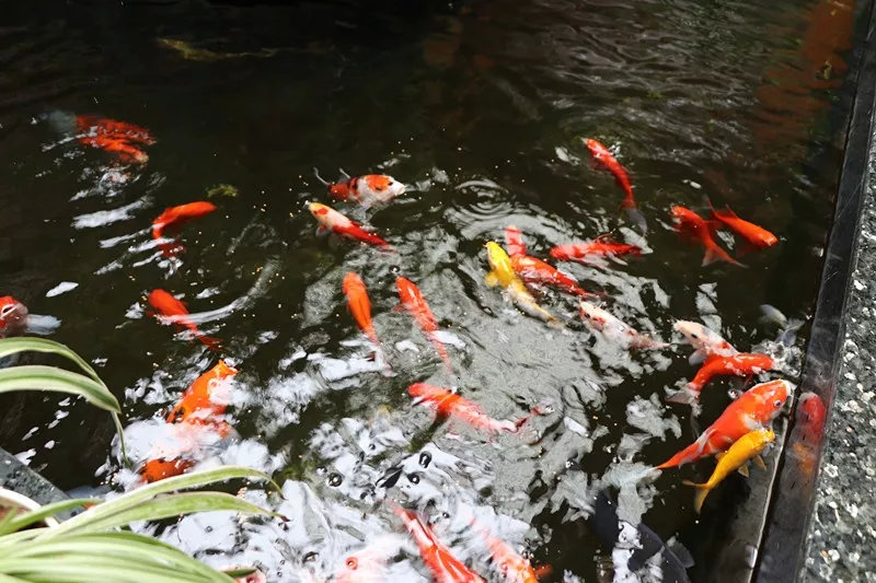 腾冲金玉堂,腾冲和顺古镇金玉堂