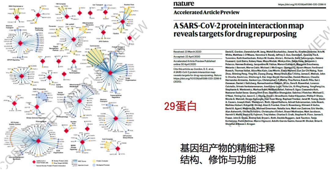 中医科学院任丽丽,任丽丽