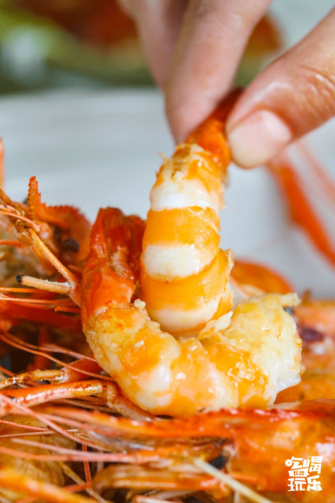 长沙城南绝美音乐餐厅！7.8折吃遍全国精致料理