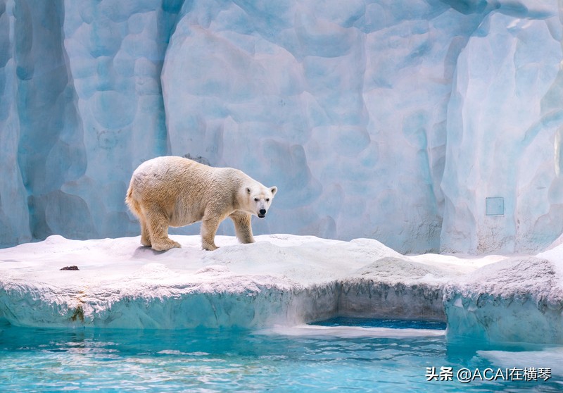 吃喝玩乐in珠海,珠海吃喝玩乐一体的地方
