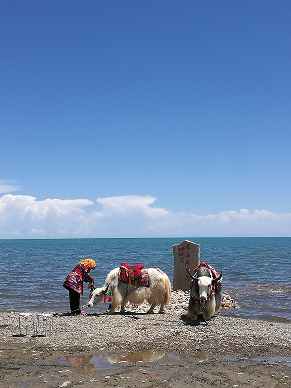 八千里路云和月风景,自驾看世界八千里路云和月滇之旅