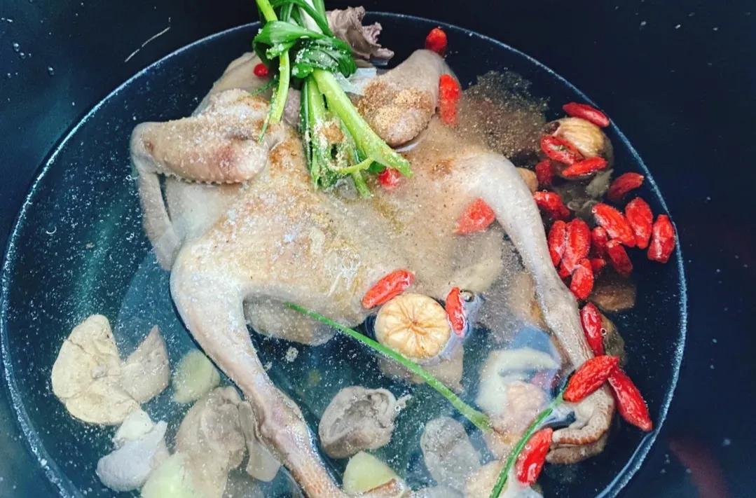 鸽子是怎么杀的,鸽子怎么杀的