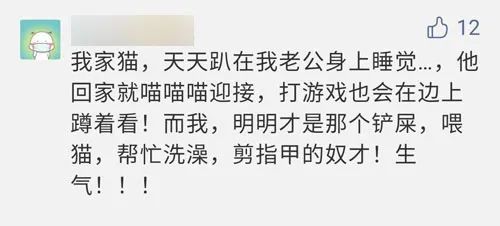 自从有了猫,自从有了猫以后好像变了一个人