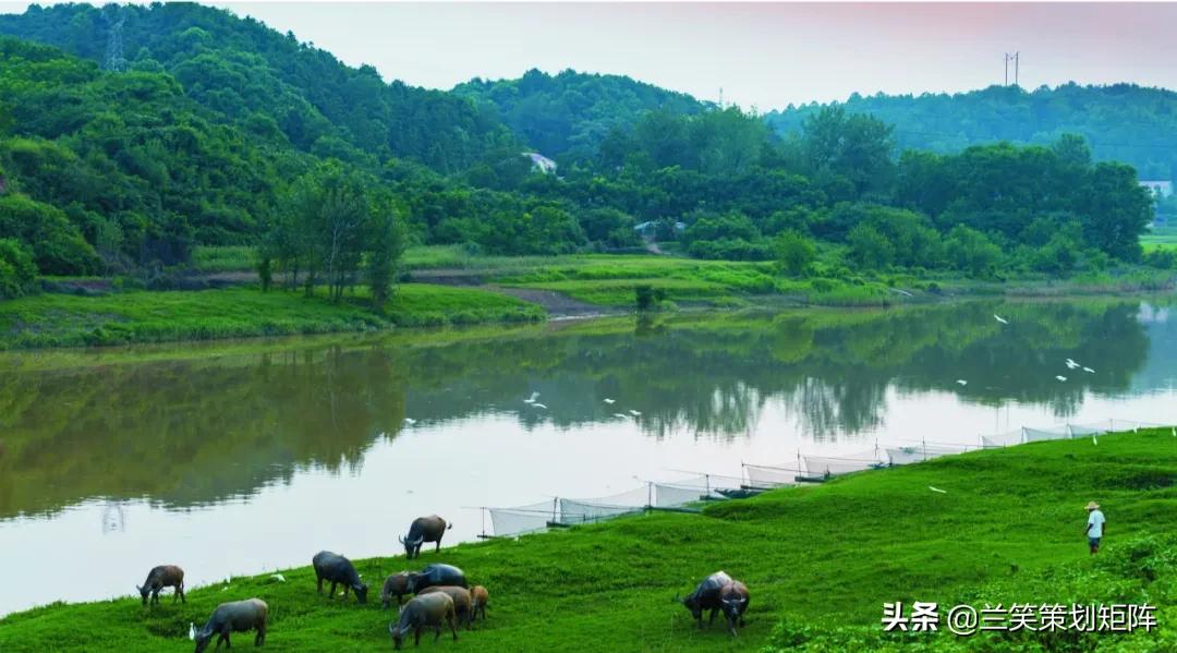 汉寿马涧村，此岸闻歌声，甜如糖橙的诗意栖居地
