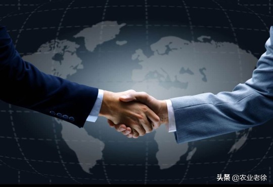 经销商怎么做自己的品牌,经销商要做大品牌还是小品牌