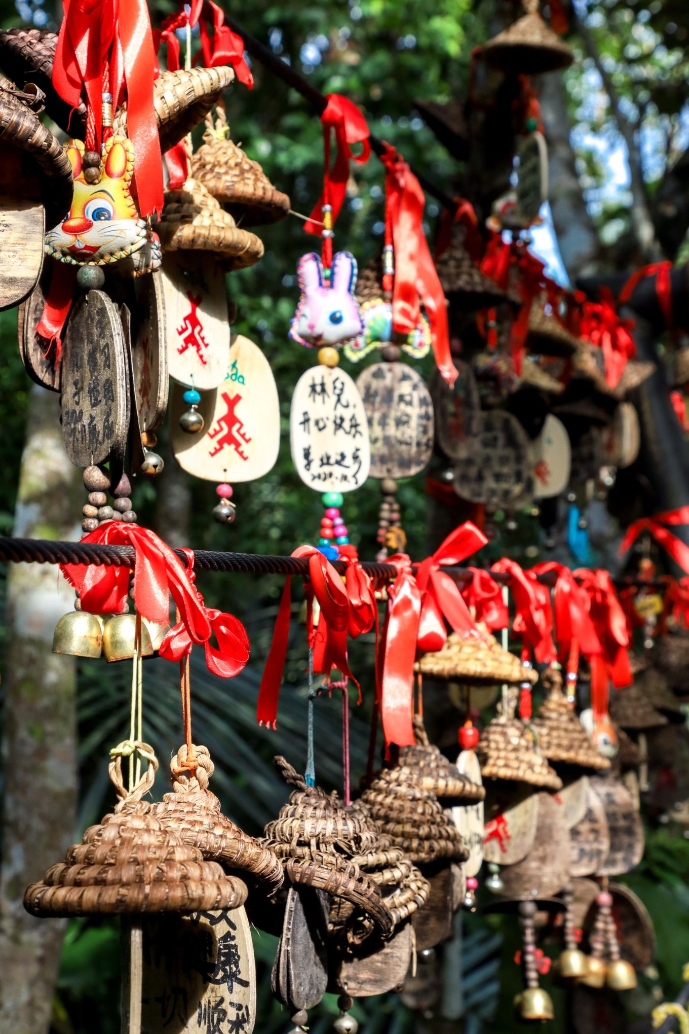 呀诺达雨林探险是什么,三亚呀诺达雨林正规吗