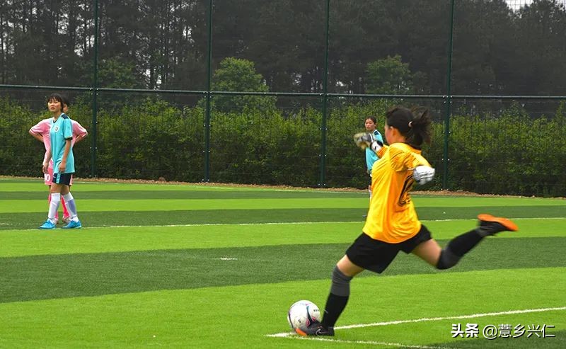 钢爸vs傲爸,钢爸vs钢蛋