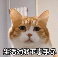 这种皮肤病用什么方法治疗好,很可怕的一种皮肤病叫啥