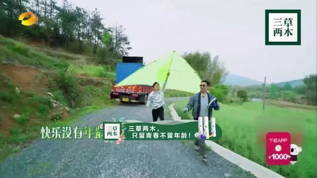 赞助过综艺的牛奶品牌,品牌赞助某综艺