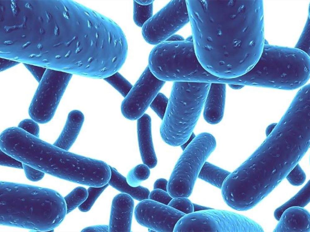 官方认证婴幼儿七种益生菌,广东给孩子买的益生菌要注意什么