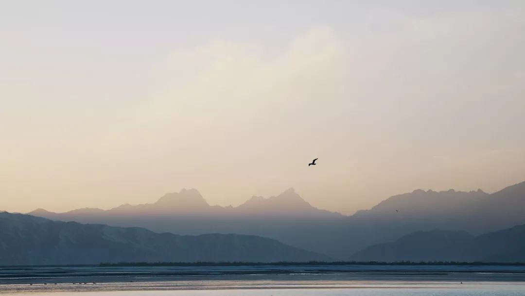 后期如何让照片更通透,后期如何修出动感的照片