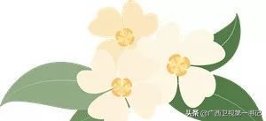 右江河畔好风光,百色右江河畔