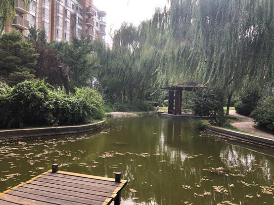 四季青房价为啥贵,海淀四季青房子值得买吗