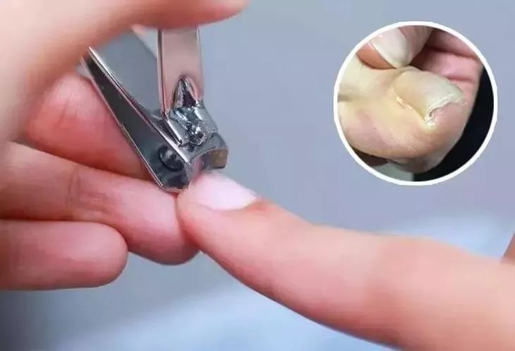 德国造指甲刀,德国碳钢指甲剪