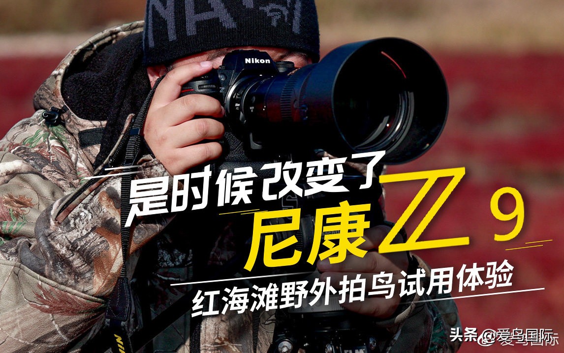 尼康z9有希望更新人像模式吗,尼康z9为什么适合打鸟