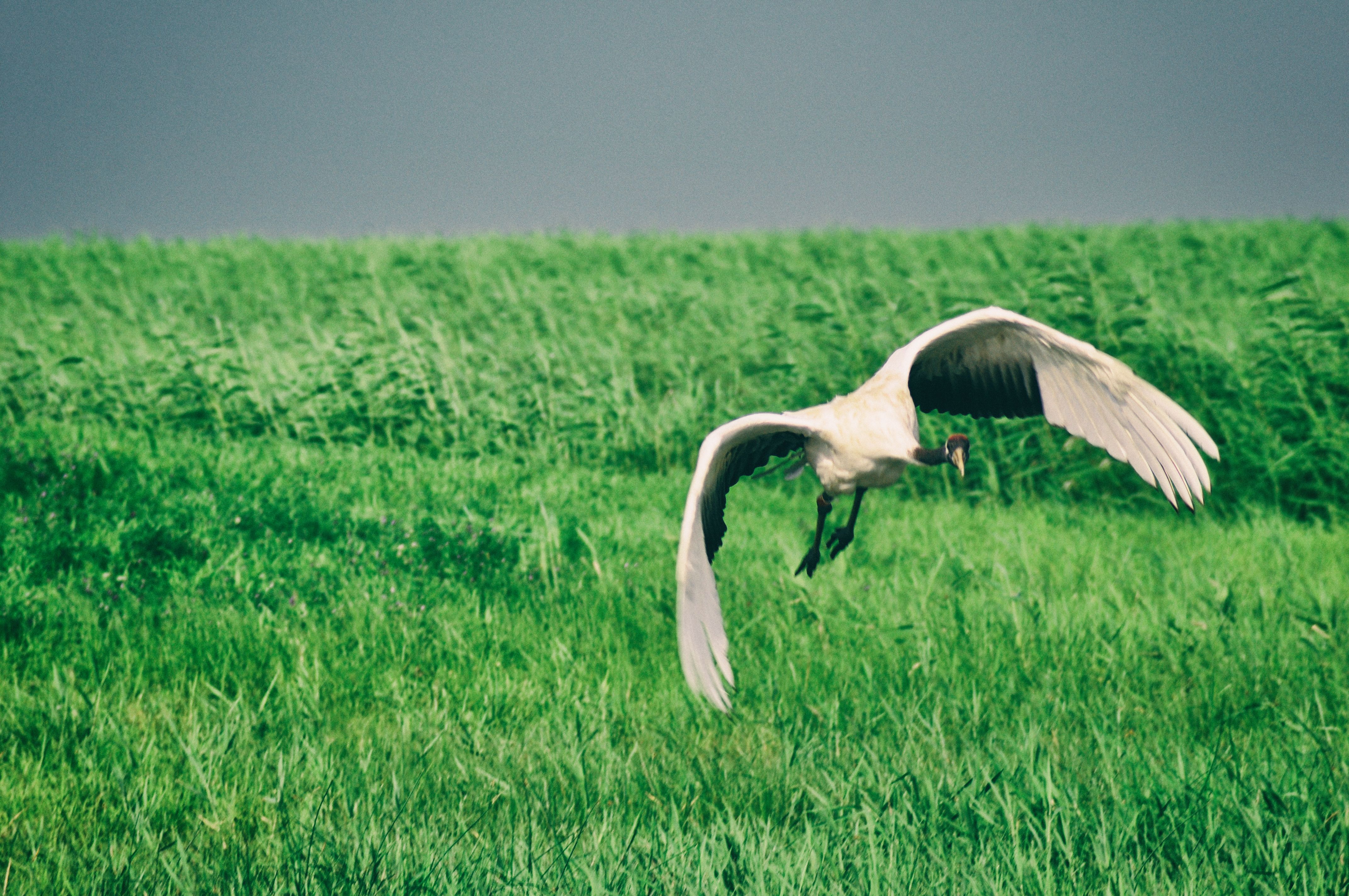 南方人自驾来东北是啥体验,15天一万公里的新疆感受