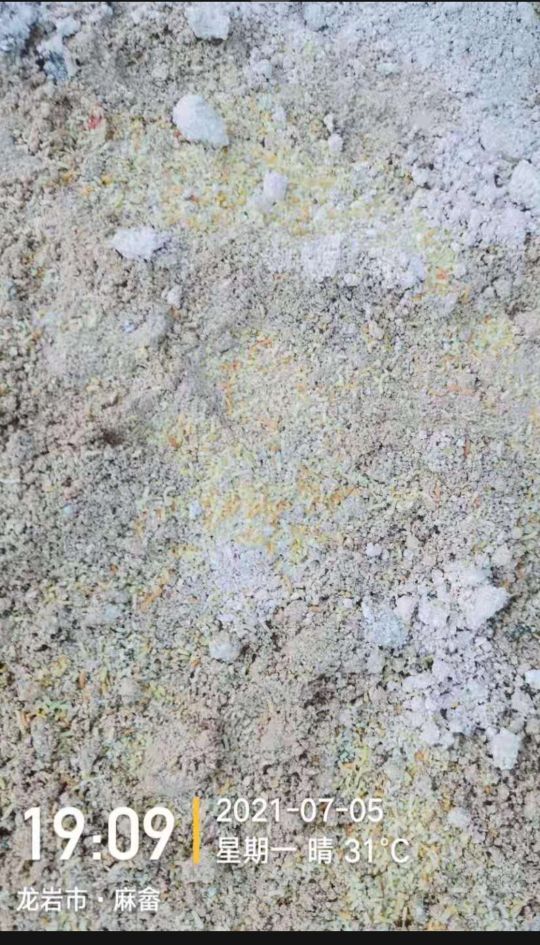 漳州红蚂蚁咬人怎么办,福建漳平红蚂蚁咬人