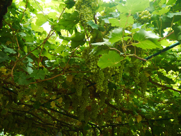 青甘大环线几月份去比较好,甘青大环线旅游跟团游旅行社报价