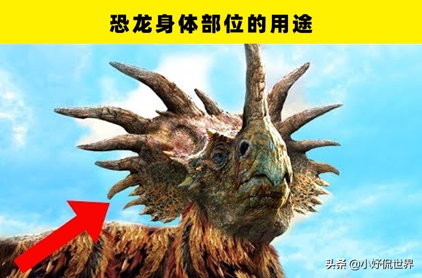 10个至今未被解开的恐龙之谜,关于恐龙的一切资料和恐龙的来源