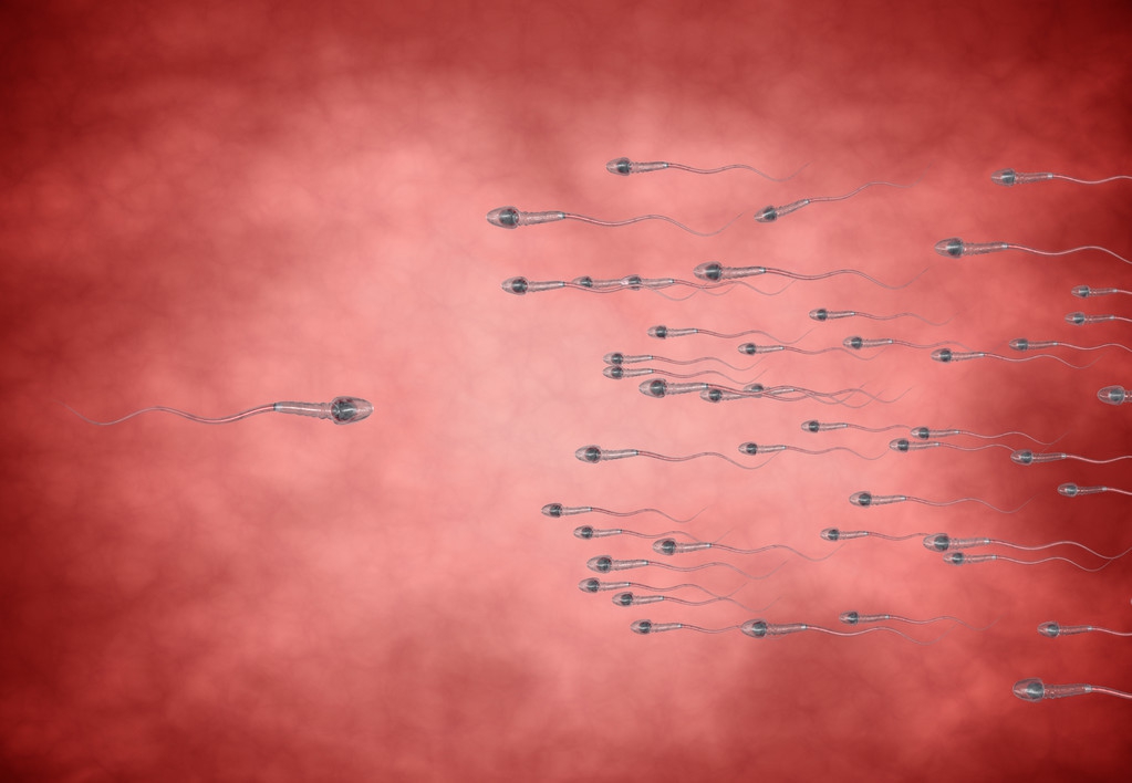 导致死精症的原因,死精症是怎么造成的