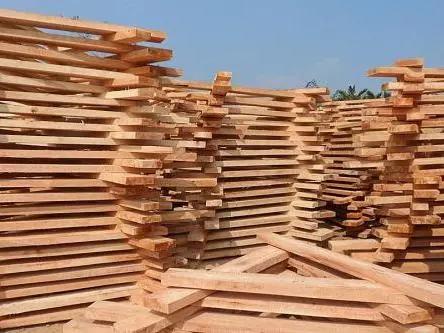 家具工厂原木怎样测量,木工建筑木材怎么识别