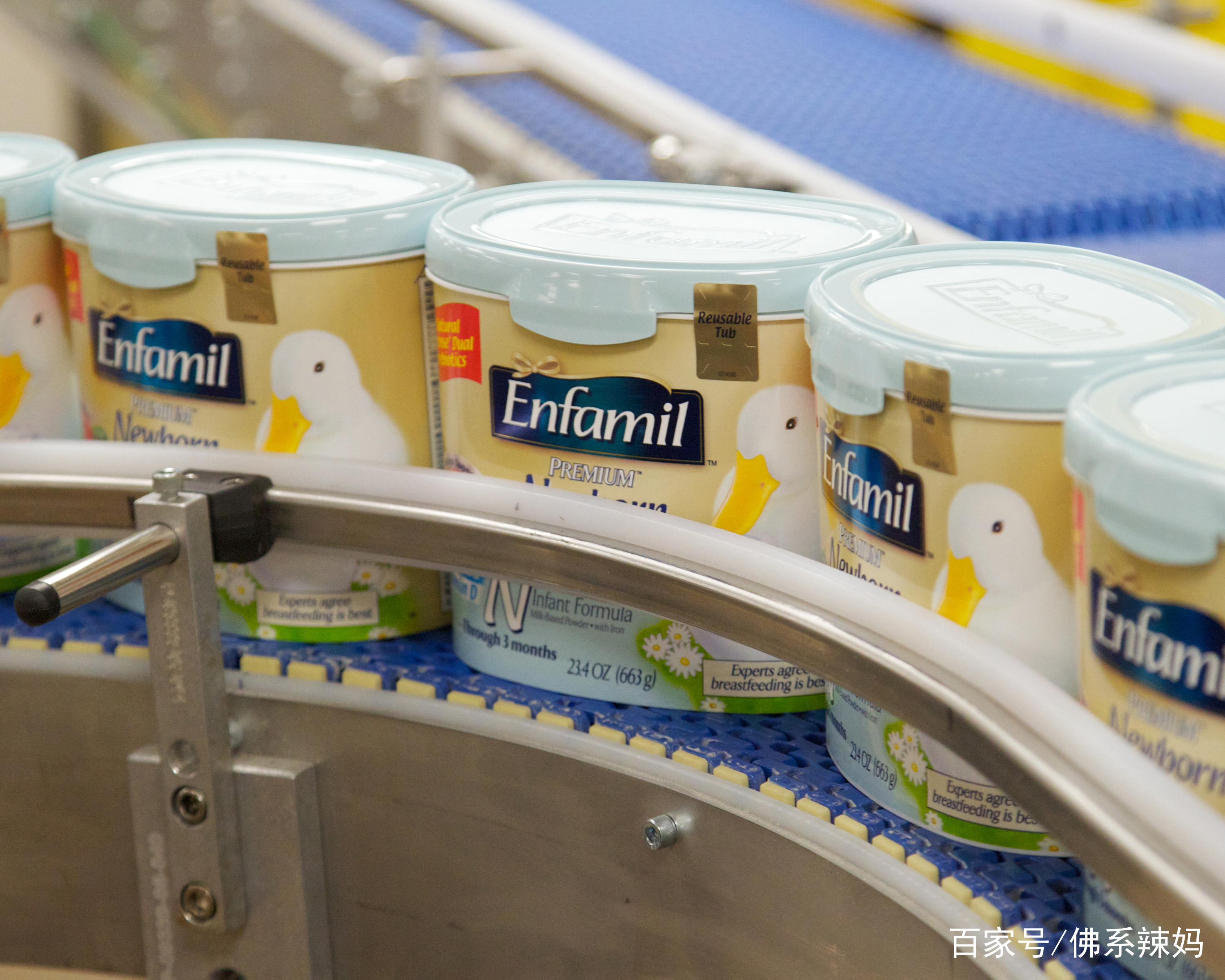 奶粉里有小飞虫如何解决,奶粉过期然后长虫要怎么解决