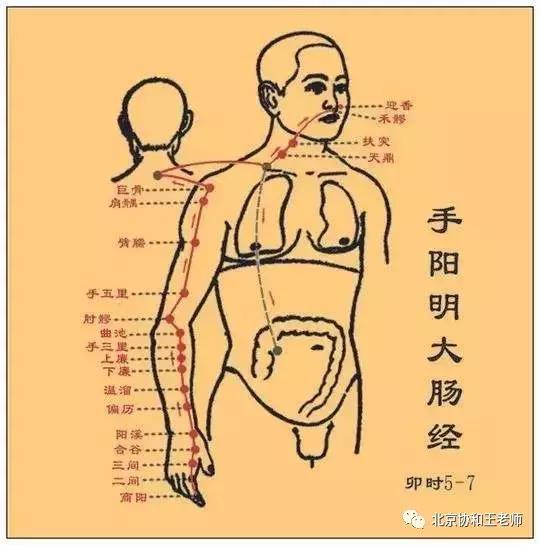 湿热体质祛湿热最快的好方法,湿从何来如何祛湿