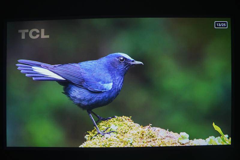 大眼橙投影仪家用x7m智能投影,极米和大眼橙x7d投影仪对比