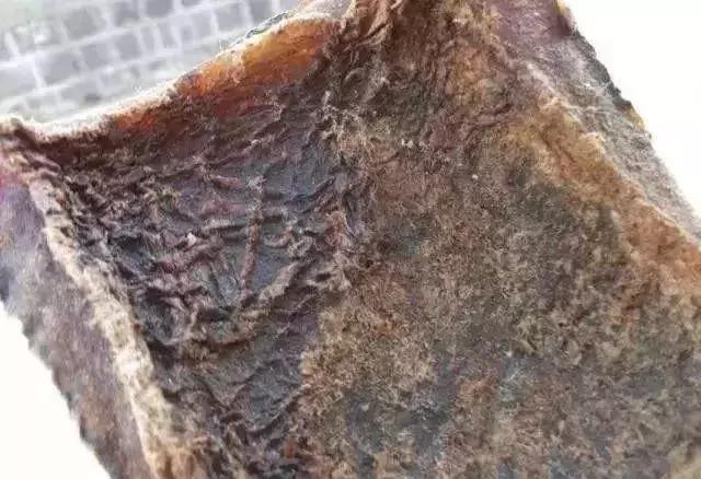 放过大象吧！别再用大象皮车珠子了！