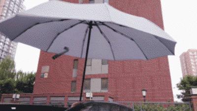 能抗台风的户外伞,抗风8级阳光伞