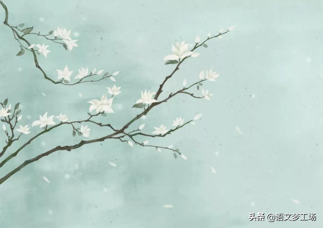 诗经名句精选100句及赏析,诗经100句名句大全