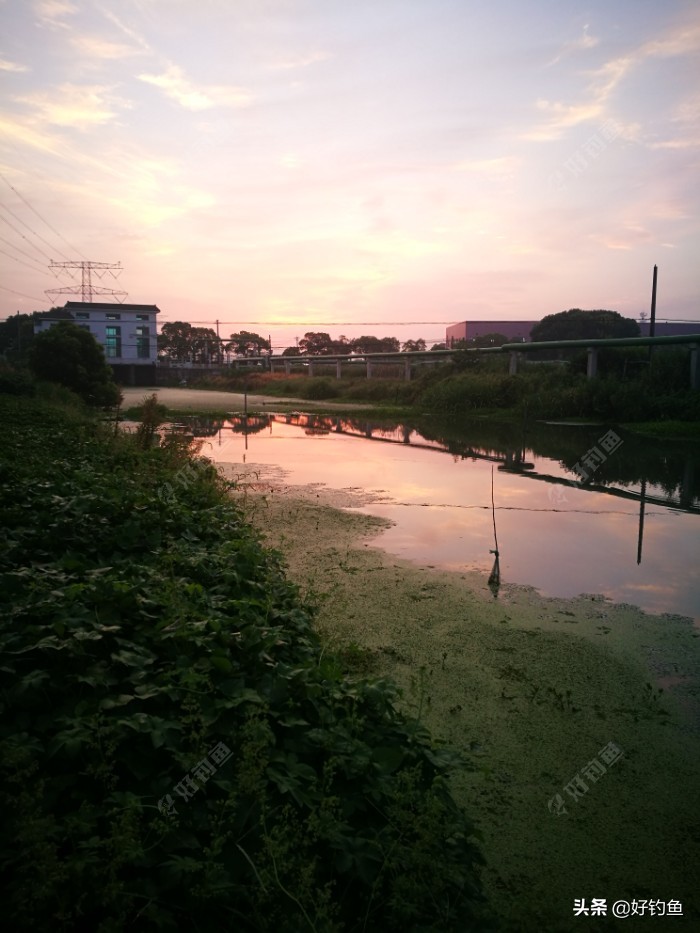 忙里偷闲的出来钓个鱼,忙里偷闲钓鱼