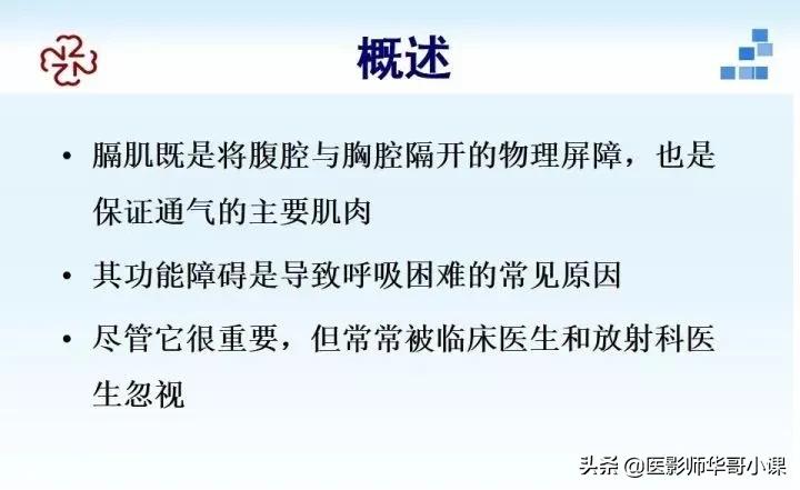 「精品课件」胸部膈肌的解剖及常见病变影像的表现