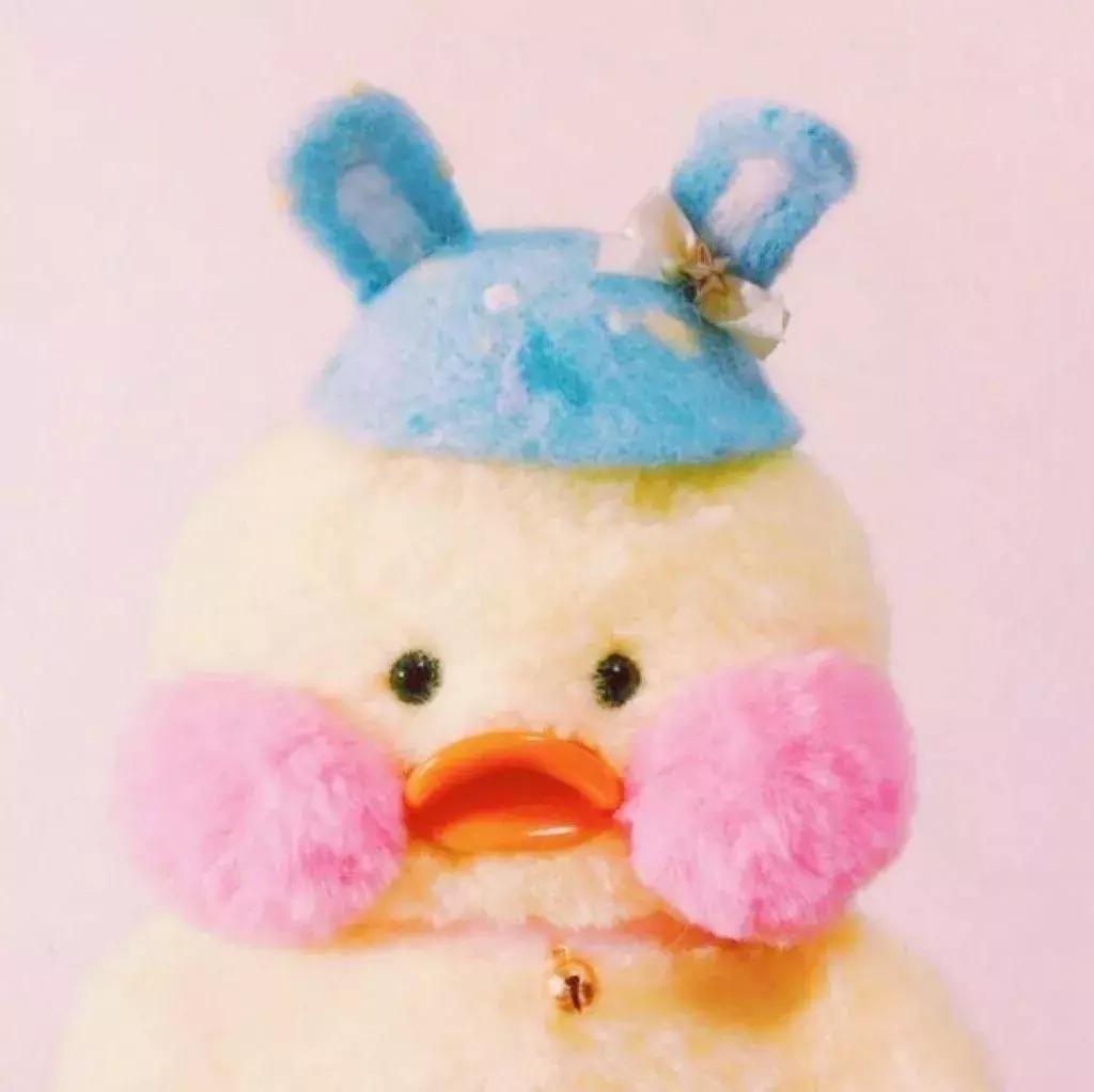 36张网红玻尿酸鸭头像图：遇见就好了，余生就算了