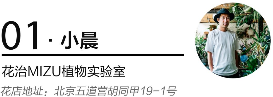 老实说，哥哥们爱起花草来，更疯狂