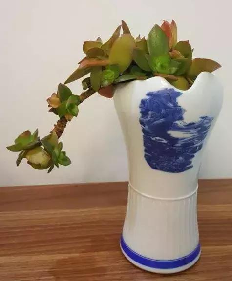 用酒瓶怎么做好看的花盆,从废旧酒瓶到创意花盆的华丽转身