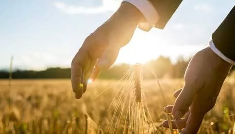 麦肯锡解决问题的七大步骤,麦肯锡解决问题的四个步骤