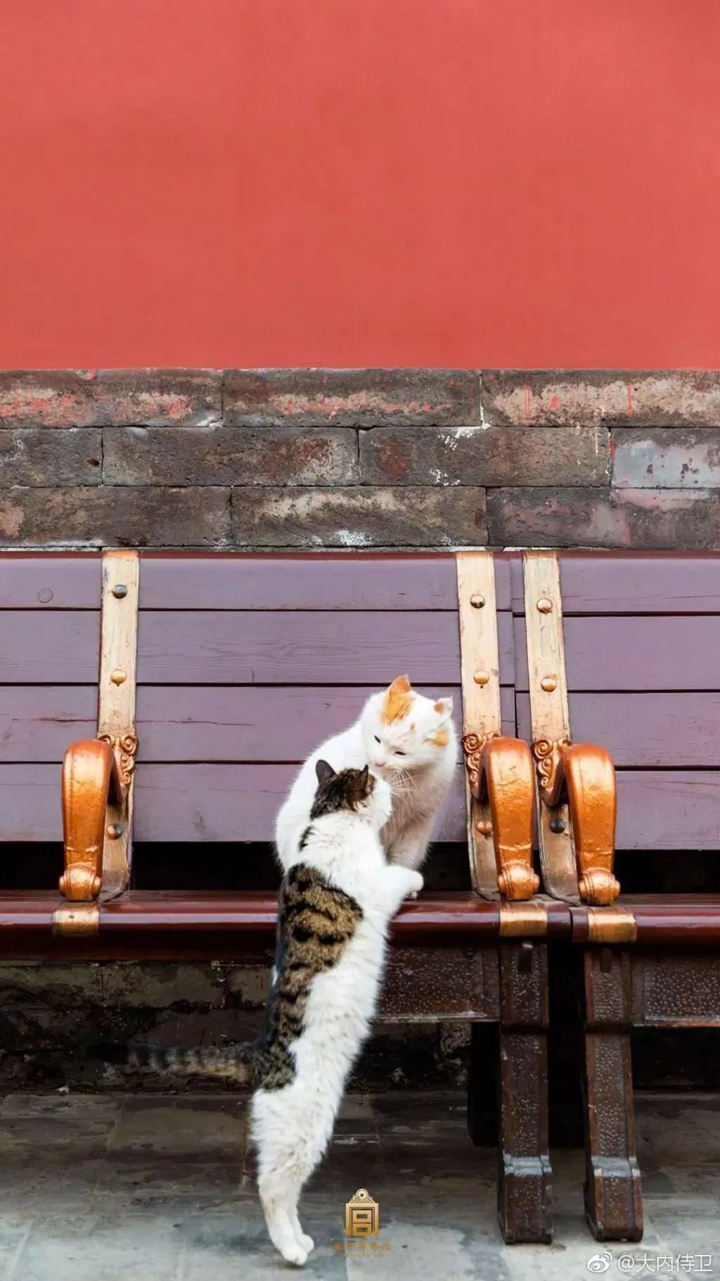 故宫一家三口亲子游,故宫亲子游攻略