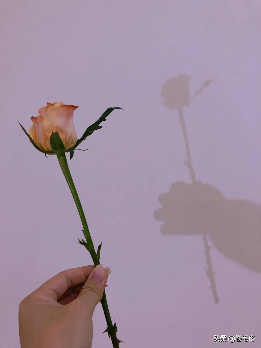 手机拍大片人像,如何拍手机照片最好看