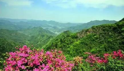 风光无限好，览尽于汤池