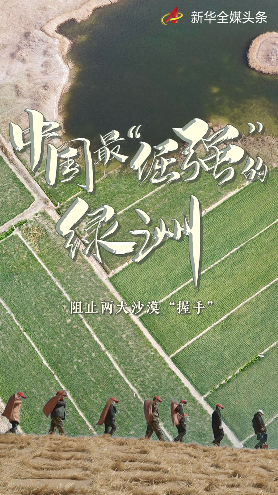 与沙漠掰了70年手腕,这块绿洲如此“倔强”