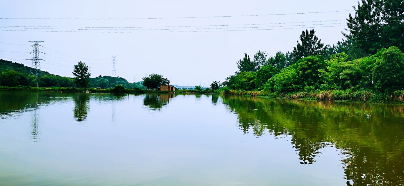 后官湖湿地公园环游,后官湖湿地公园游后感