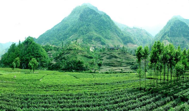 农民工进城打工现状,农民工进城