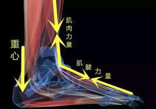 无器械腿部训练方法,器械锻炼腿的器材