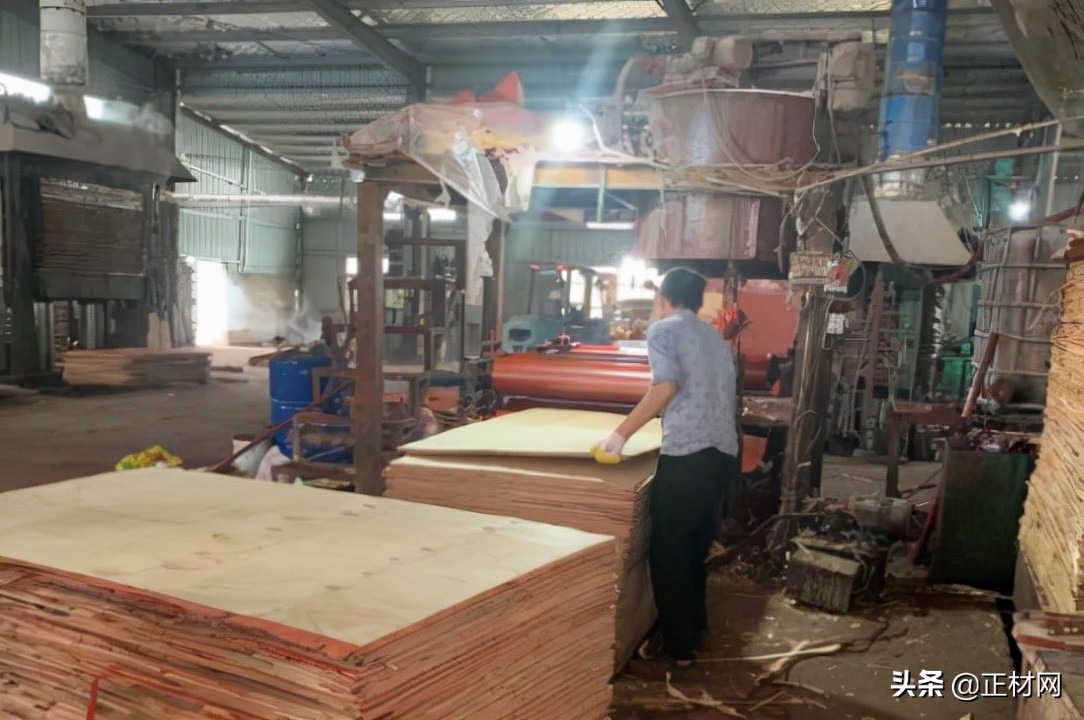 胶合板算什么木,胶合板是哪种板材