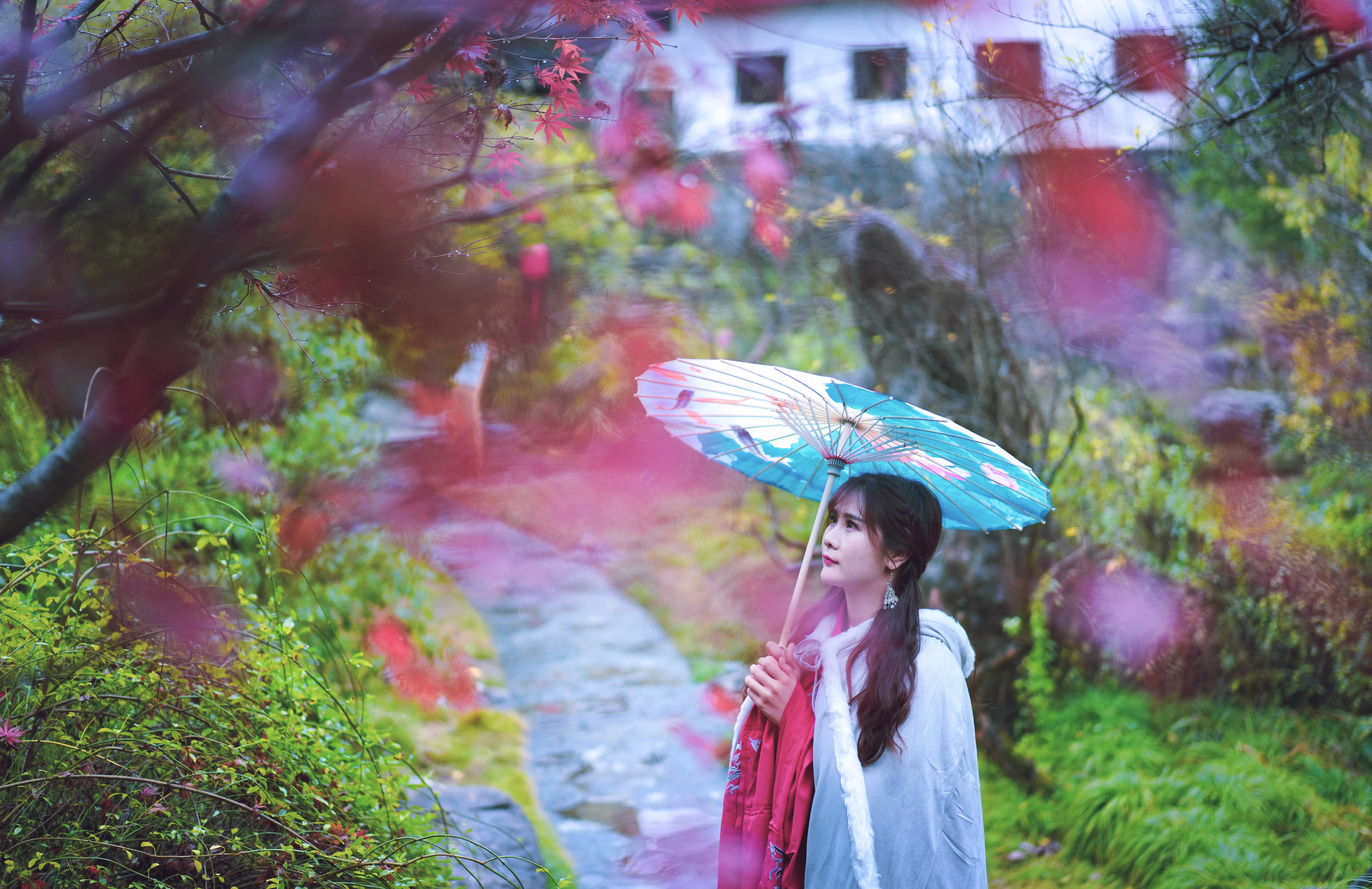 婺源熹园全景,婺源熹园宾舍门票