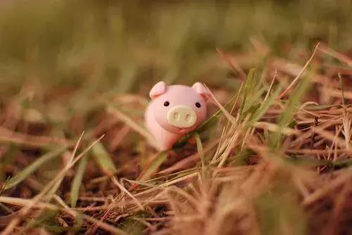 微信个性签名搞笑幽默短句图片,个性签名简短又内涵幽默